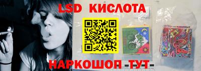 дмт Новодвинск