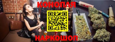 дмт Новодвинск