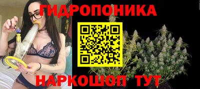 apvp Новокубанск