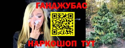 дмт Новодвинск
