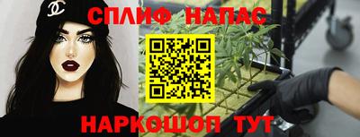 дмт Новодвинск