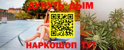 дмт Новодвинск
