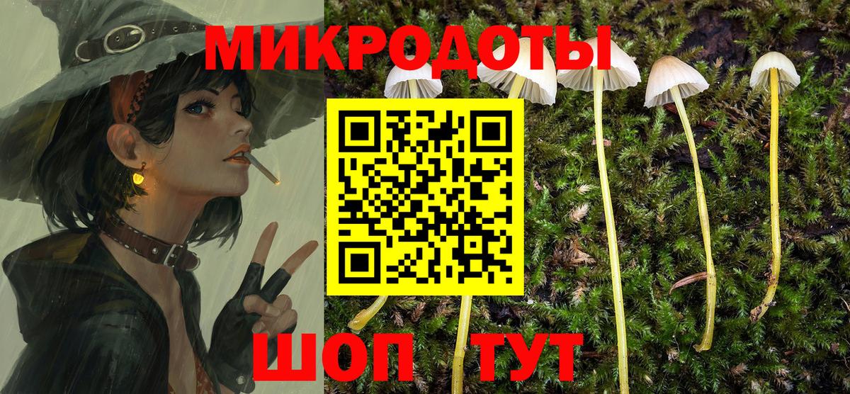 Псилоцибиновые грибы мицелий  Вход с VPN  Сухой Лог 
